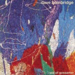 Album-Review: Dave Bainbridge - Veil of Gossamer Dave Bainbridge: Veil of Gossamer