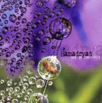 Album-Review: Hamadryad - Safe In Conformity Hamadryad: Safe In Conformity