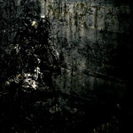 Album-Review: Blut Aus Nord - MoRT Blut Aus Nord: MoRT