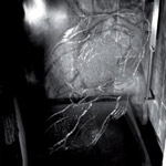 Album-Review: Comity - ...As Everything Is A Tragedy Comity: ...As Everything Is A Tragedy
