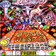 Album-Review: Fiddleworms - Volkswagen Catfish Fiddleworms: Volkswagen Catfish