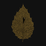 Album-Review: Dear John Letter - Between Leaves – Forestral Dear John Letter: Between Leaves – Forestral