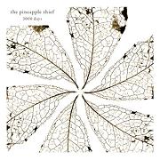 Album-Review: The Pineapple Thief - 3000 Days The Pineapple Thief: 3000 Days