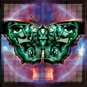 Album-Review: Weltraum - Magnolia Weltraum: Magnolia