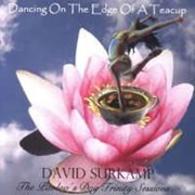 Album-Review: David Surkamp - Dancing On The Edge Of A Teacup David Surkamp: Dancing On The Edge Of A Teacup