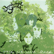 Album-Review: Beachwood Sparks - Once We Were Trees Beachwood Sparks: Once We Were Trees