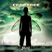 Album-Review: Carptree - Nymf Carptree: Nymf