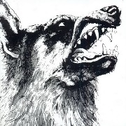 Album-Review: Crippled Black Phoenix - I, Vigilante Crippled Black Phoenix: I, Vigilante