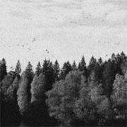 Album-Review: October Falls - A Collapse Of Faith October Falls: A Collapse Of Faith