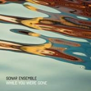 Album-Review: Sonar Ensemble - While You Were Gone Sonar Ensemble: While You Were Gone