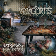 Album-Review: Amagortis - Intrinsic Indecency Amagortis: Intrinsic Indecency