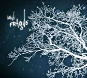 Album-Review: Bob K - Fragile Bob K: Fragile