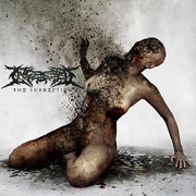 Album-Review: Ingested - The Surreption Ingested: The Surreption