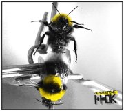 Album-Review: Jeavestone - 1+1=OK Jeavestone: 1+1=OK