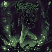 Album-Review: Necrovorous - Funeral For The Sane Necrovorous: Funeral For The Sane