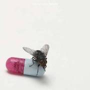 Album-Review: Red Hot Chili Peppers - I´m With You Red Hot Chili Peppers: I´m With You