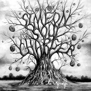 Album-Review: Simeon Soul Charger - Meet Me In The Afterlife Simeon Soul Charger: Meet Me In The Afterlife