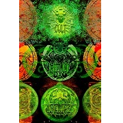 Album-Review: Das Bluul - Cult - Ritual - Device Das Bluul: Cult - Ritual - Device