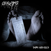 Album-Review: Garagedays - Dark And Cold Garagedays: Dark And Cold