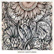 Album-Review: Blaudzun - Heavy Flowers Blaudzun: Heavy Flowers