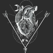 Album-Review: Coilguns / NVRVD - Split Coilguns / NVRVD: Split
