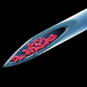 Album-Review: Peter Gabriel - Live Blood Peter Gabriel: Live Blood