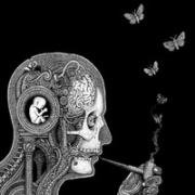 Album-Review: Soen - Cognitive Soen: Cognitive