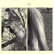 Album-Review: Susanna - Wild Dog Susanna: Wild Dog
