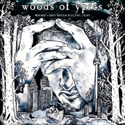 Album-Review: Woods Of Ypres - Woods 5: Grey Skies & Electric Light  Woods Of Ypres: Woods 5: Grey Skies & Electric Light