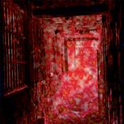 Album-Review: Elimi - Asylum Elimi: Asylum
