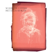 Album-Review: Malte Schillers Red Balloon - The Second Time is Different Malte Schillers Red Balloon: The Second Time is Different