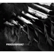 Album-Review: Process Of Guilt - Fæmin Process Of Guilt: Fæmin