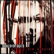 Album-Review: Sound Of Guns - Angels & Enemies Sound Of Guns: Angels & Enemies