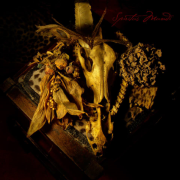 Album-Review: Aqua Nebula Oscillator - Spiritus Mundi Aqua Nebula Oscillator: Spiritus Mundi