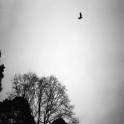 Album-Review: Black Skies - On The Wings Of Time Black Skies: On The Wings Of Time