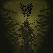 Album-Review: Defeated Sanity - Passages Into Deformity Defeated Sanity: Passages Into Deformity