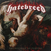 Album-Review: Hatebreed - The Divinity Of Purpose Hatebreed: The Divinity Of Purpose