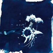 Album-Review: Minerva - Germinal Minerva: Germinal