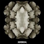 Album-Review: Noriega - Desolo Noriega: Desolo