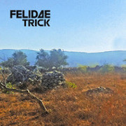 Album-Review: Felidae Trick - Patrimony Felidae Trick: Patrimony