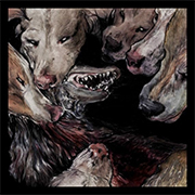 Album-Review: Okkultokrati - Night Jerks Okkultokrati: Night Jerks