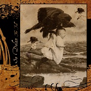 Album-Review: Se Delan - The Fall Se Delan: The Fall