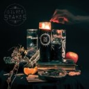 Album-Review: Silver Snakes - Year Of The Snakes Silver Snakes: Year Of The Snakes