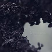 Album-Review: Nebelung - Palingenesis Nebelung: Palingenesis