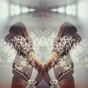Album-Review: Tilia - Focus Tilia: Focus