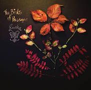 Album-Review: The Birds Of Passage - Ruska The Birds Of Passage: Ruska