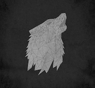Album-Review: Doghouse Roses - Lost Is Not Losing Doghouse Roses: Lost Is Not Losing