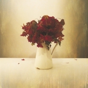Album-Review: The Lion And The Wolf - The Cardiac Hotel The Lion And The Wolf: The Cardiac Hotel