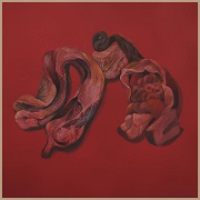 Album-Review: Narcosatanicos - Body Cults Narcosatanicos: Body Cults