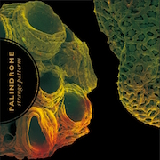 Album-Review: Palindrome - Strange Patterns Palindrome: Strange Patterns